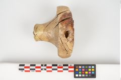Foto von Elfenbeinschwertknauf (NHMW-PRAE-026406)